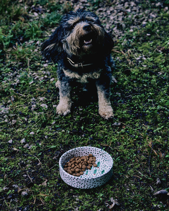 Forest Dog Bowl