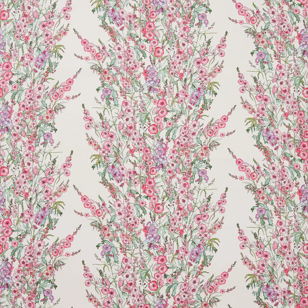 Sidalcea Wallpaper