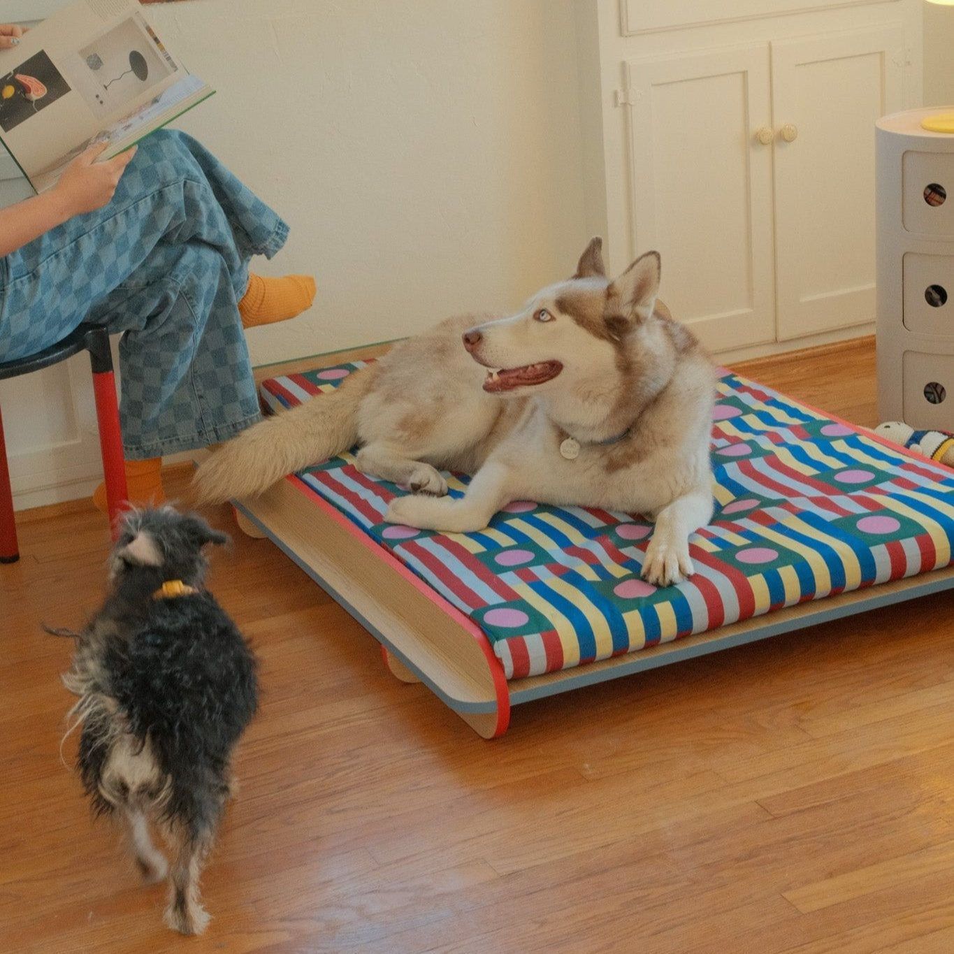 The Leo Bed – Modern Elevated Dog & Cat Bed