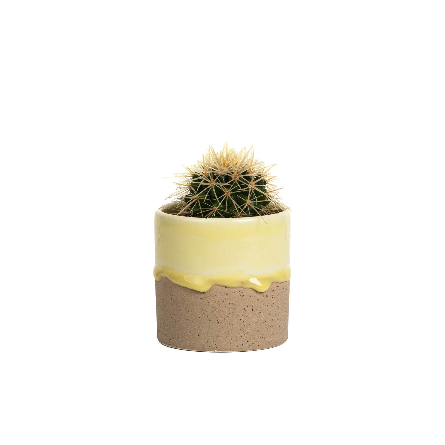 Drip Ceramic Planter Small - Pale Yellow