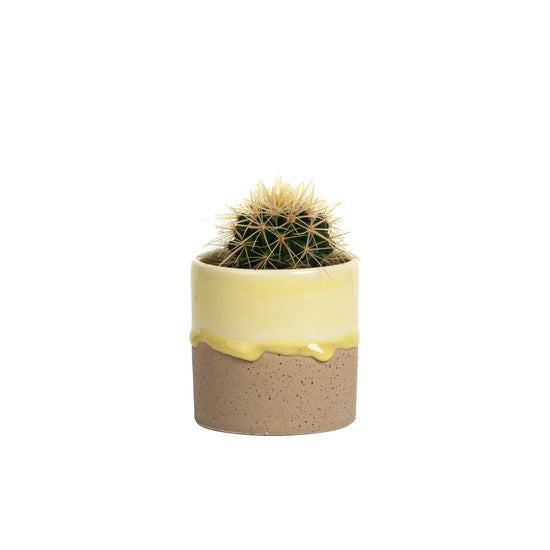 Drip Ceramic Planter Small - Pale Yellow