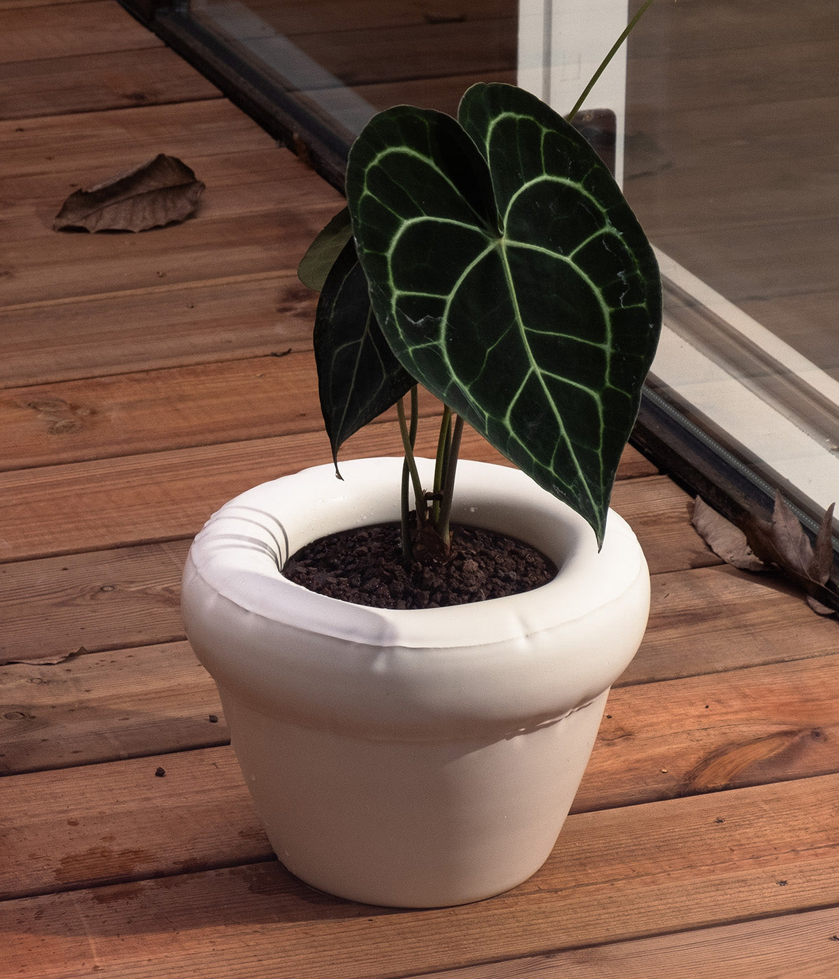 Planter 'PIERRE' Bone Gloss