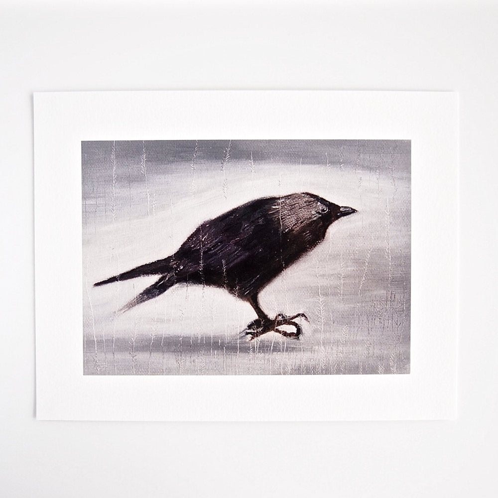 Jackdaw Bird Giclee Print