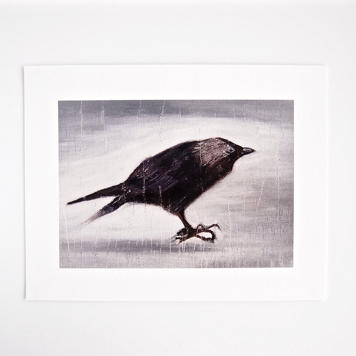 Jackdaw Bird Giclee Print