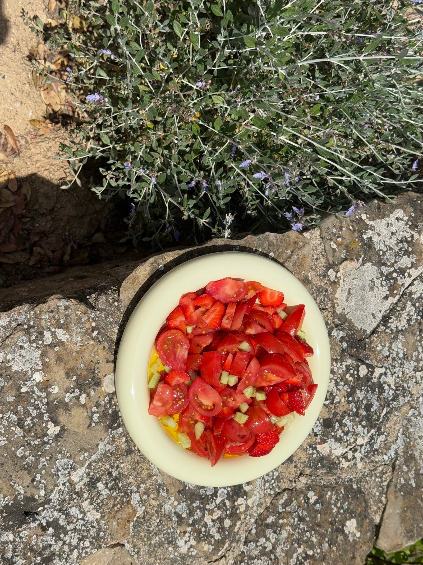 Tostadita Plate Big - White