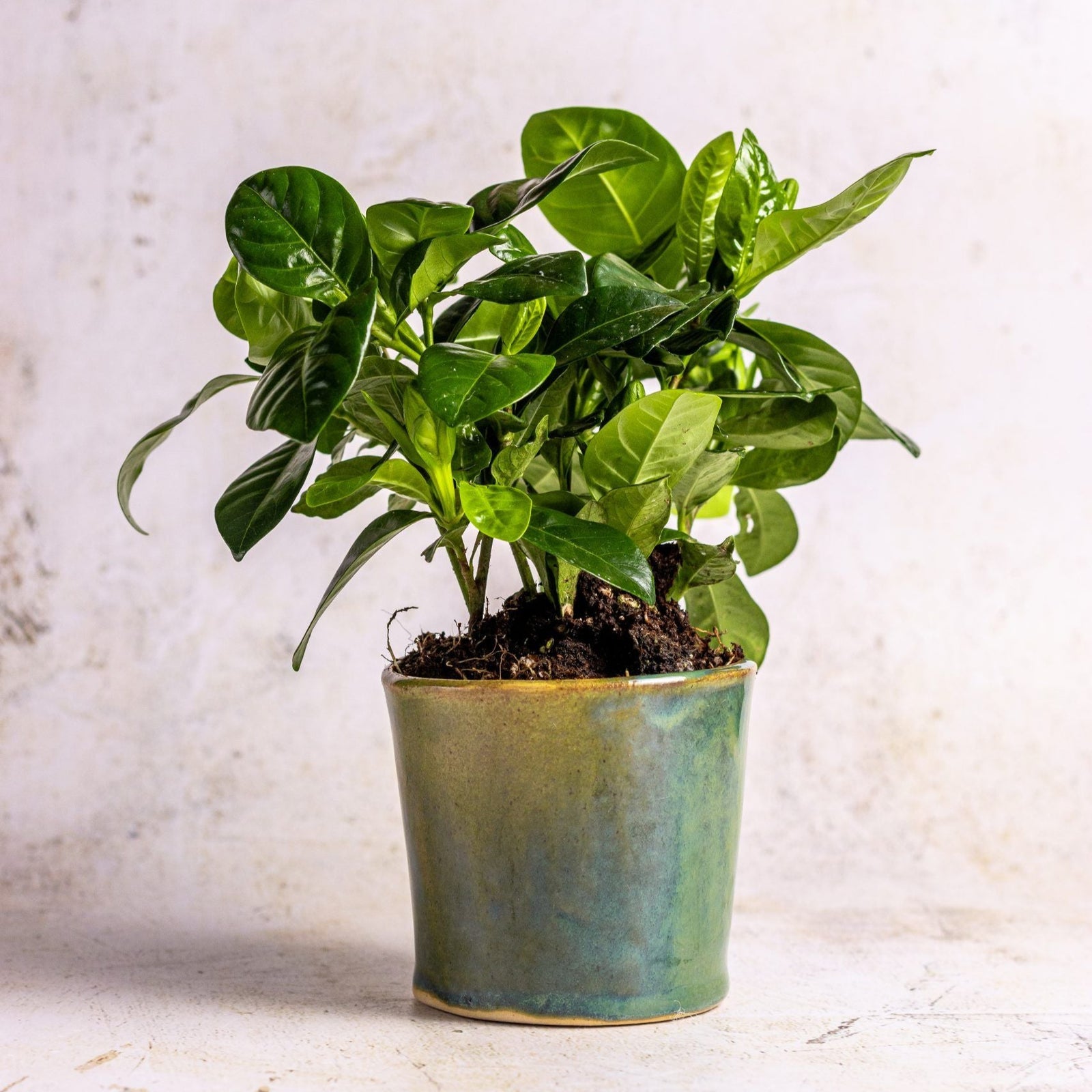 Millfield Small Plant Pot