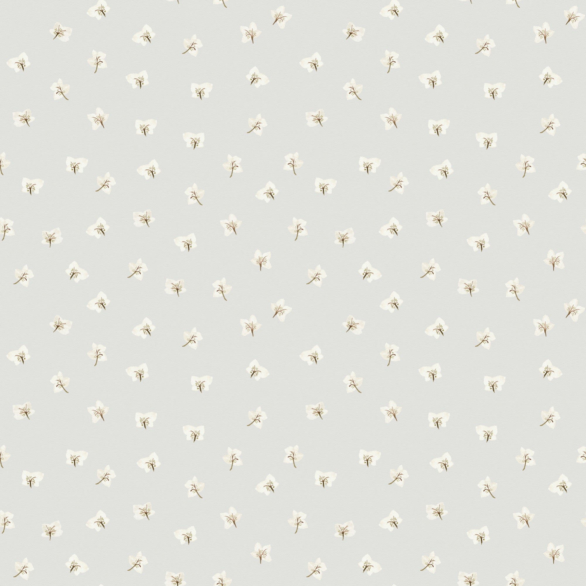 All Year Hellebores Wallpaper – CLASSIC