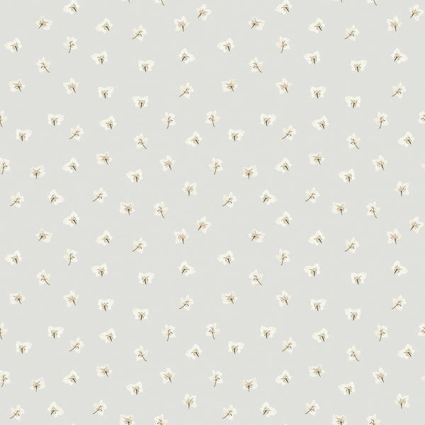 All Year Hellebores Wallpaper – CLASSIC