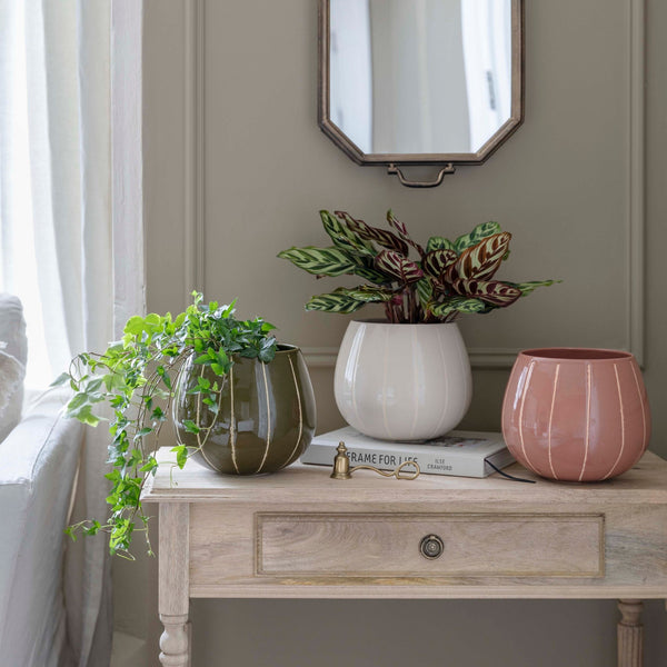 Nova Wax Relief Rose Planter