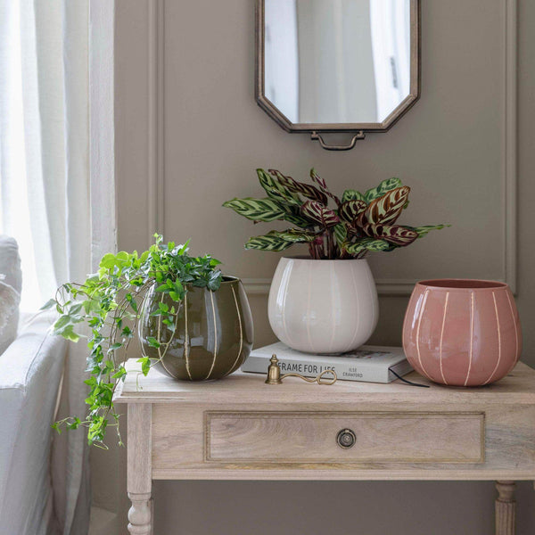 Nova Wax Relief Rose Planter