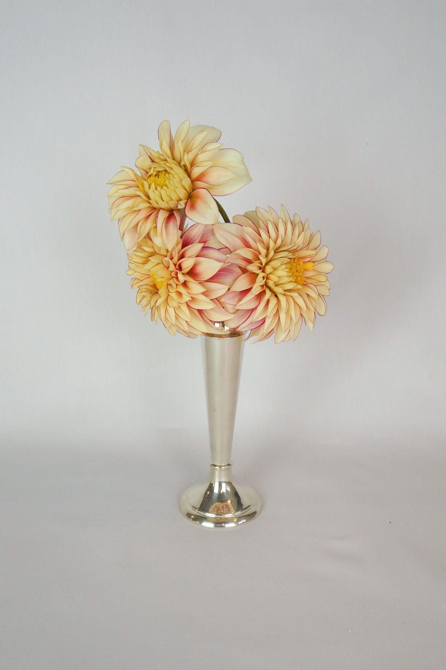 Silver Plate Bud Vase
