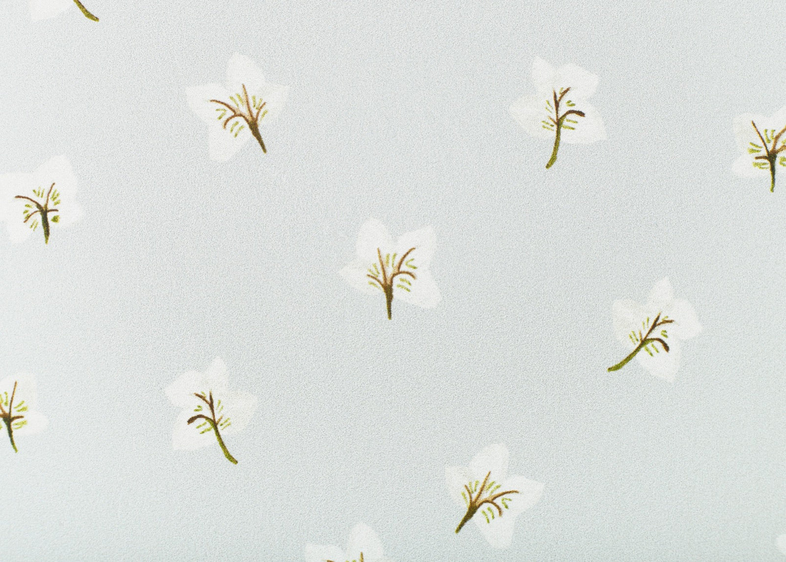 All Year Hellebores Wallpaper – CLASSIC