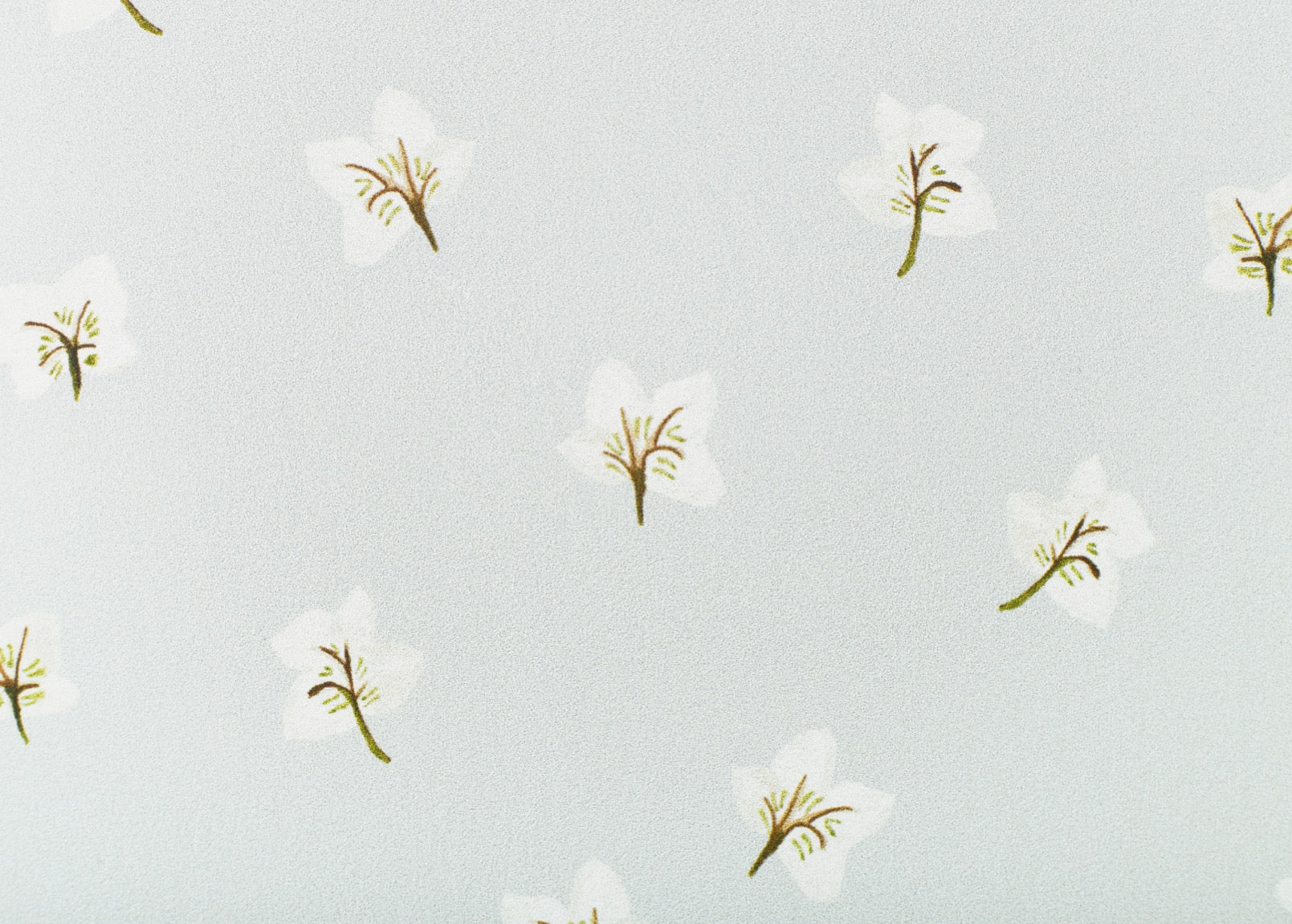 All Year Hellebores Wallpaper – CLASSIC