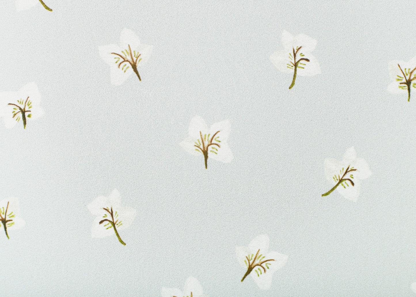 All Year Hellebores Wallpaper – CLASSIC