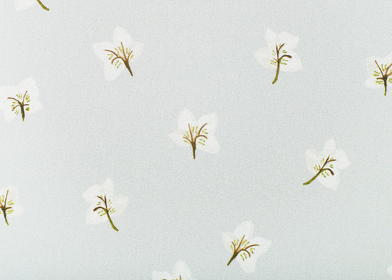 All Year Hellebores Wallpaper – CLASSIC