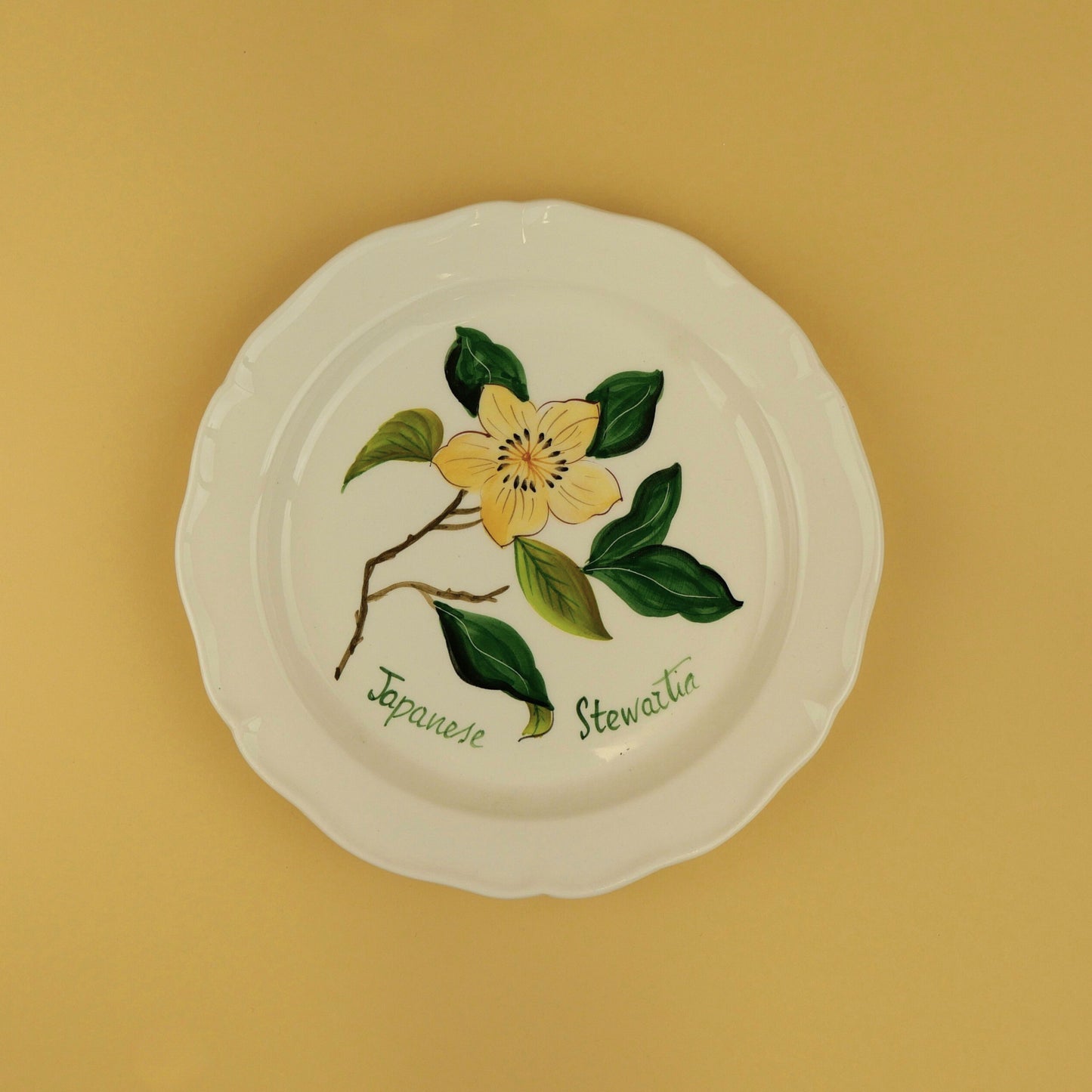 Set of 4 Botanica Salad Plates