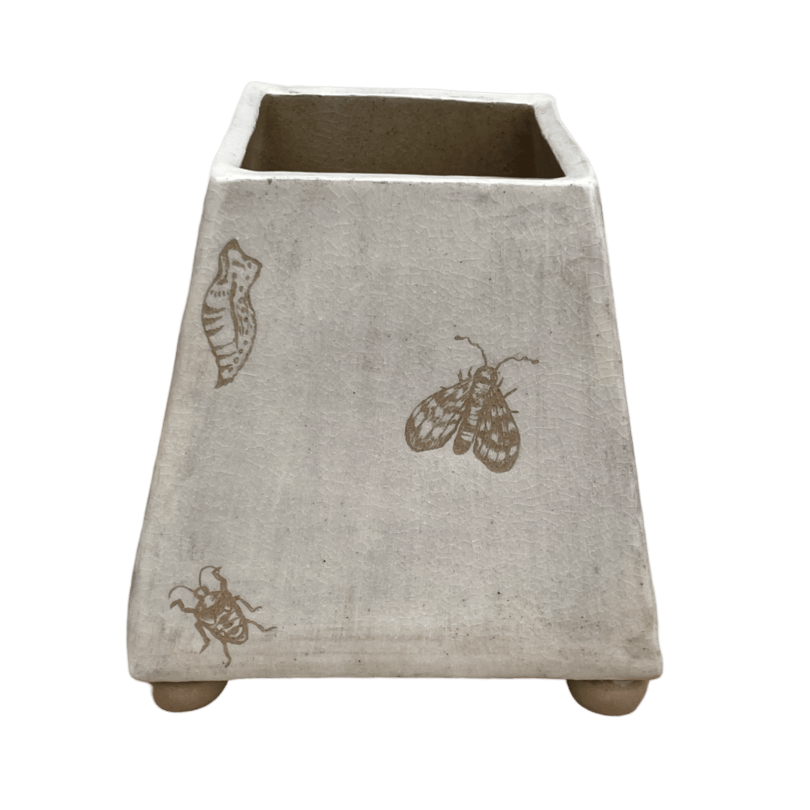 Bugs Vase