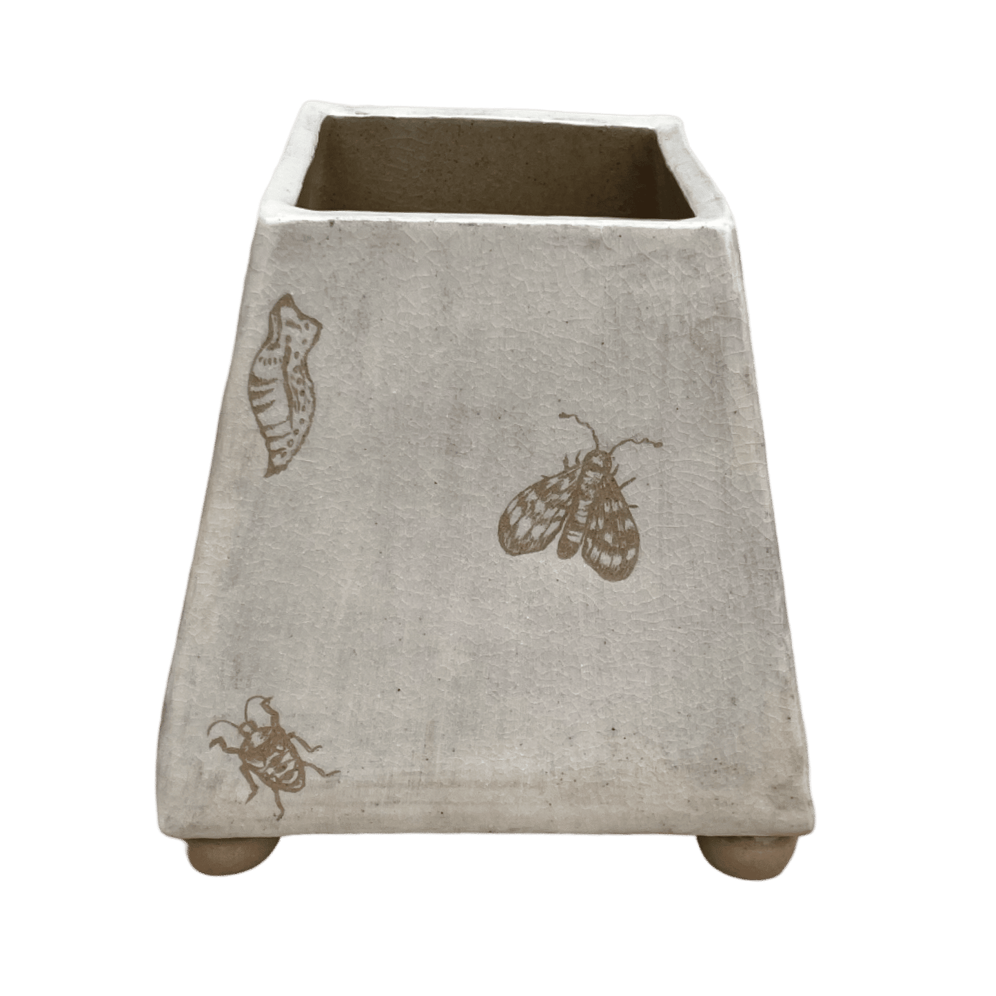 Bugs Vase