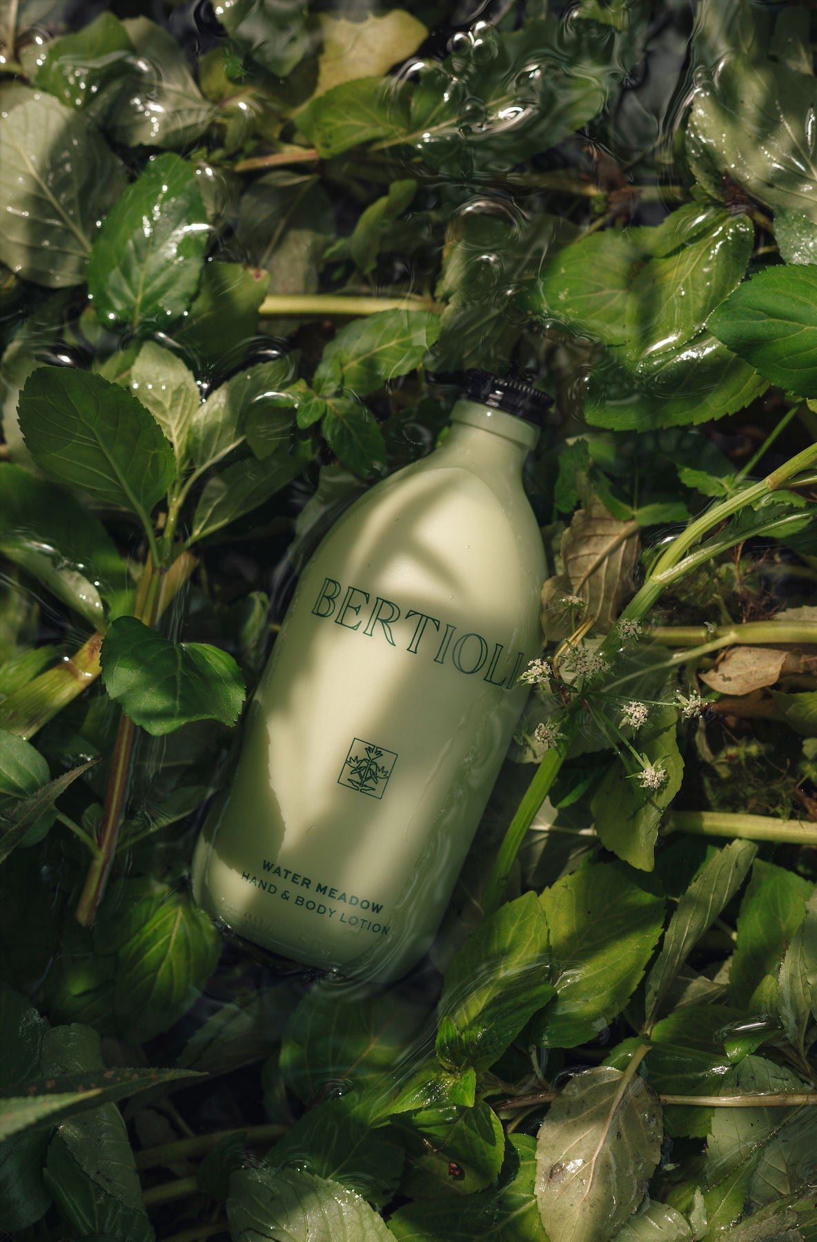 Water Meadow Hand and Body Lotion