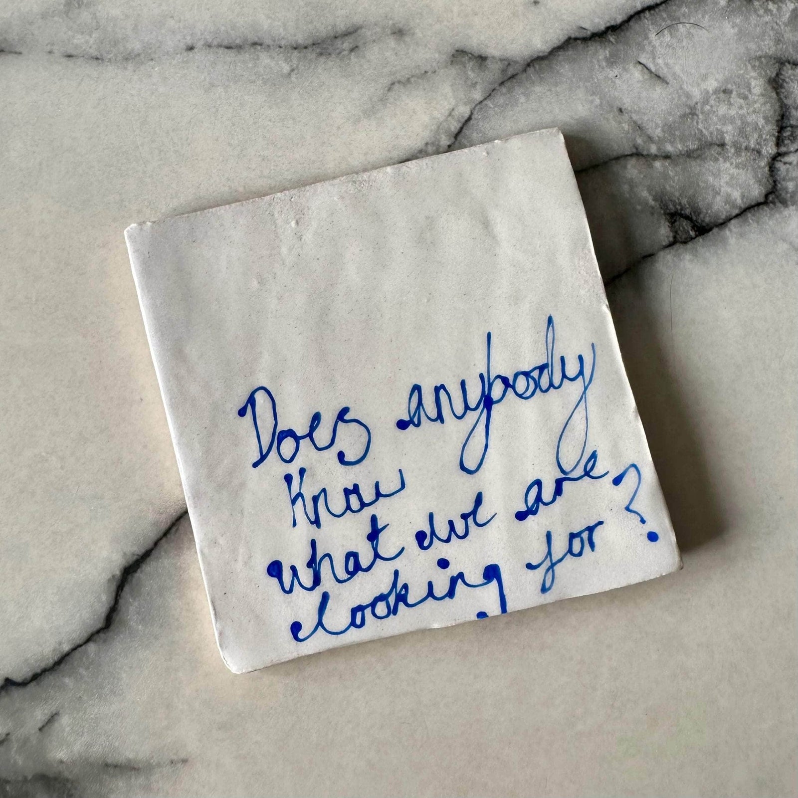 Does Anybody Coaster