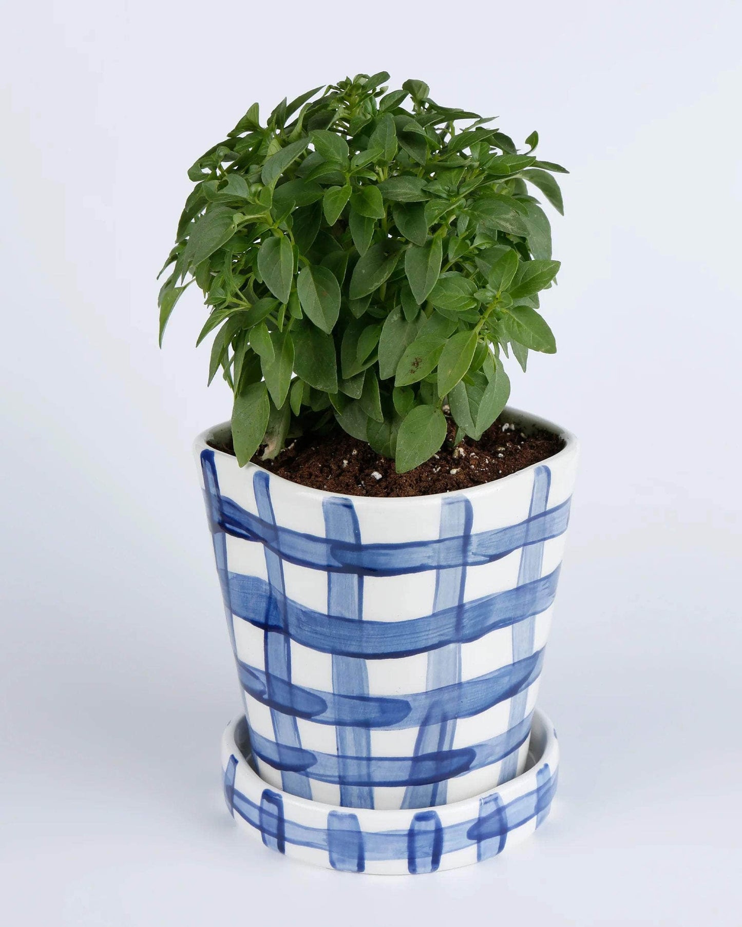 Vichy Blue Planter