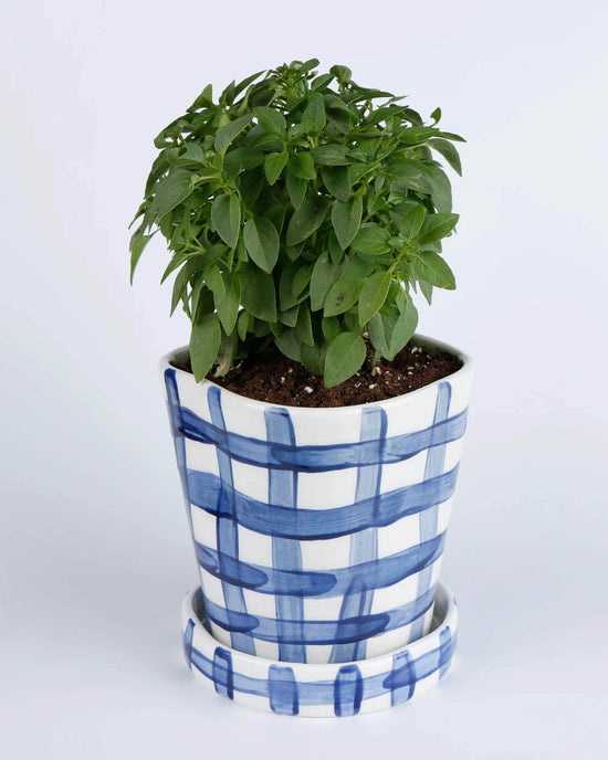 Vichy Blue Planter