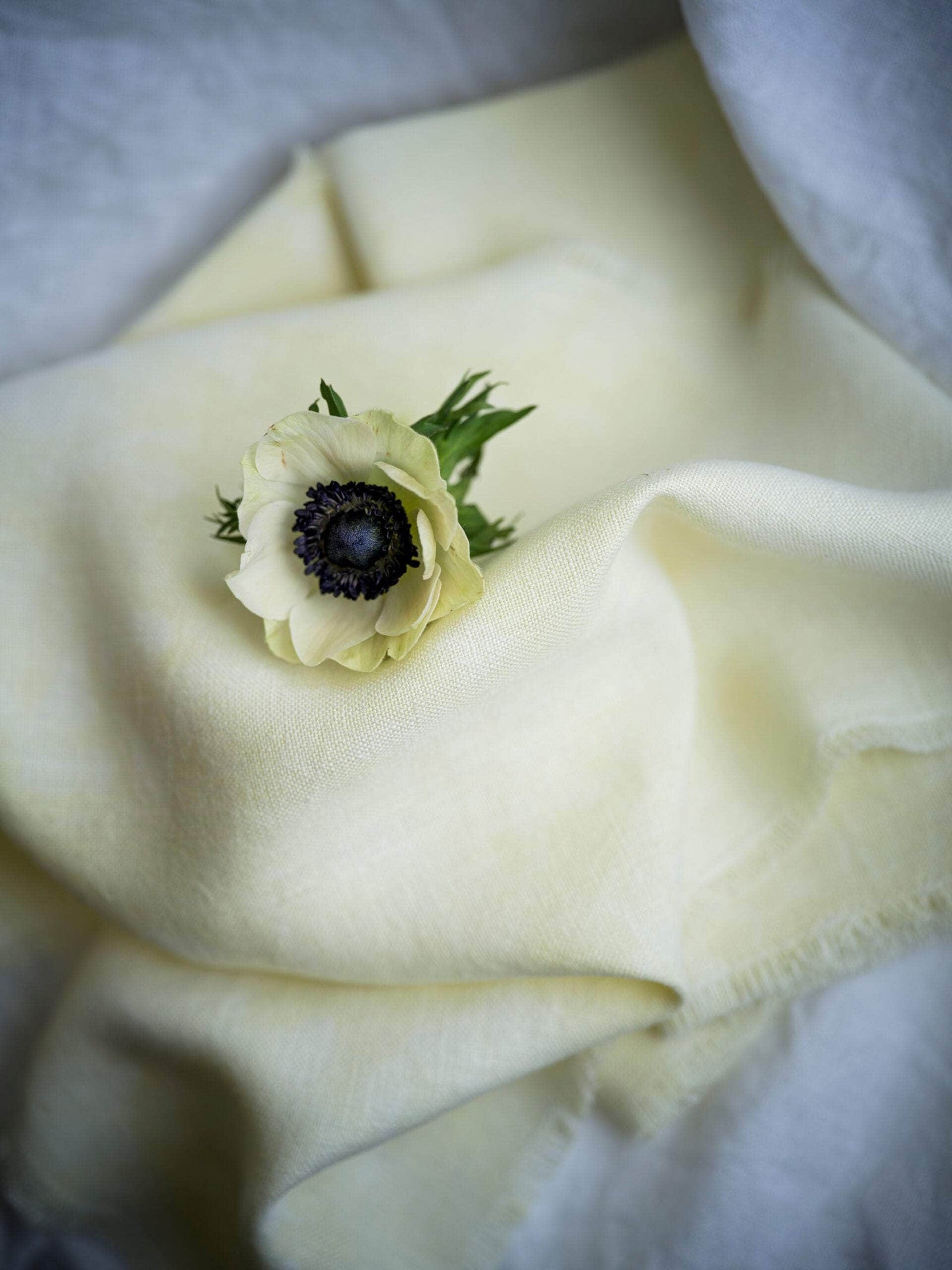 Butter Napkins - Set of 2