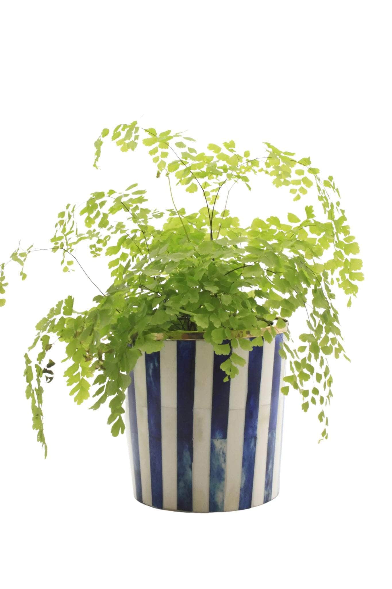 Round Inlay Planter | Medium | Navy Blue | Striped