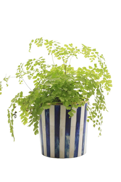 Round Inlay Planter | Medium | Navy Blue | Striped