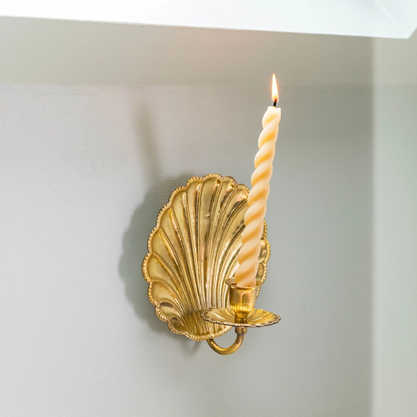 Shell Brass Wall Sconce (Single)