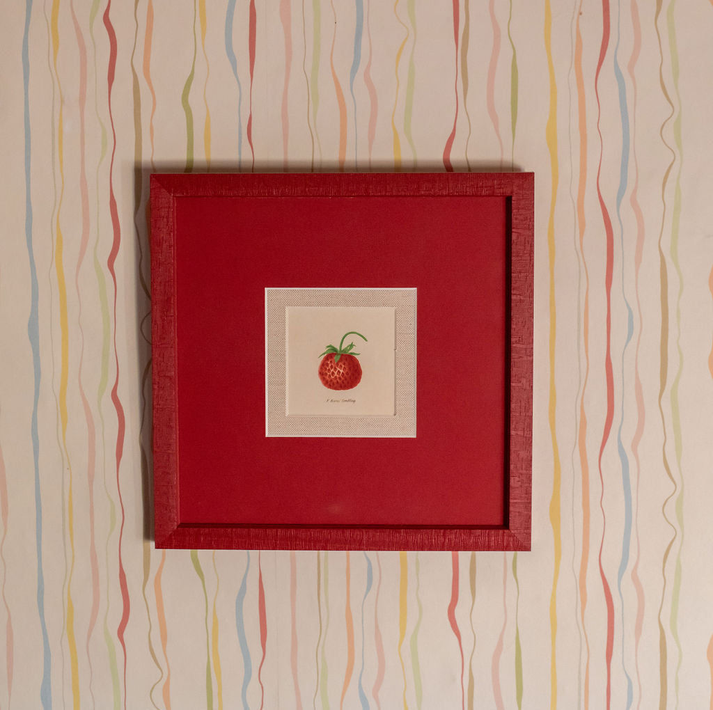 Indian Ink Wallpaper - Candy Stripe