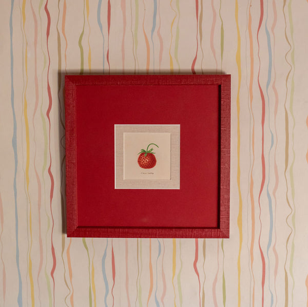 Indian Ink Wallpaper - Candy Stripe