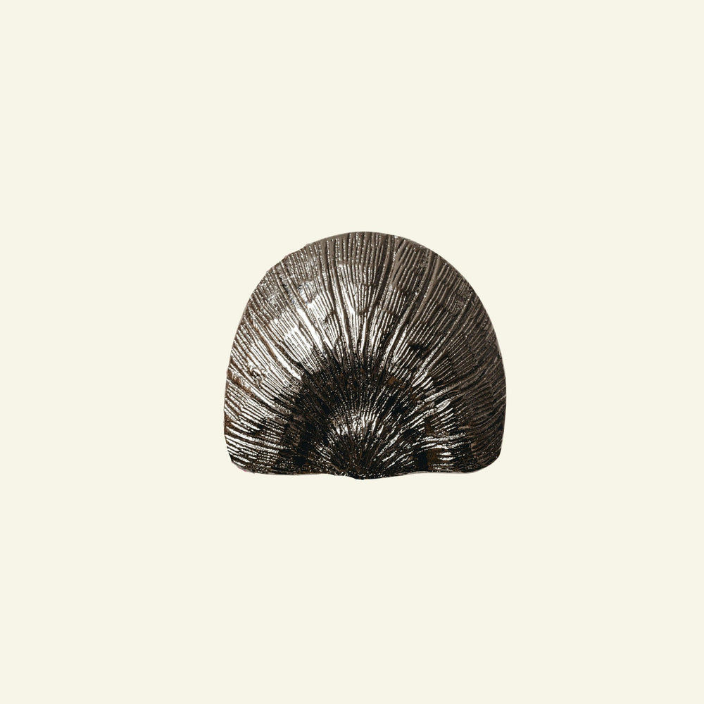 Cove Shell Knob, Polished Chrome