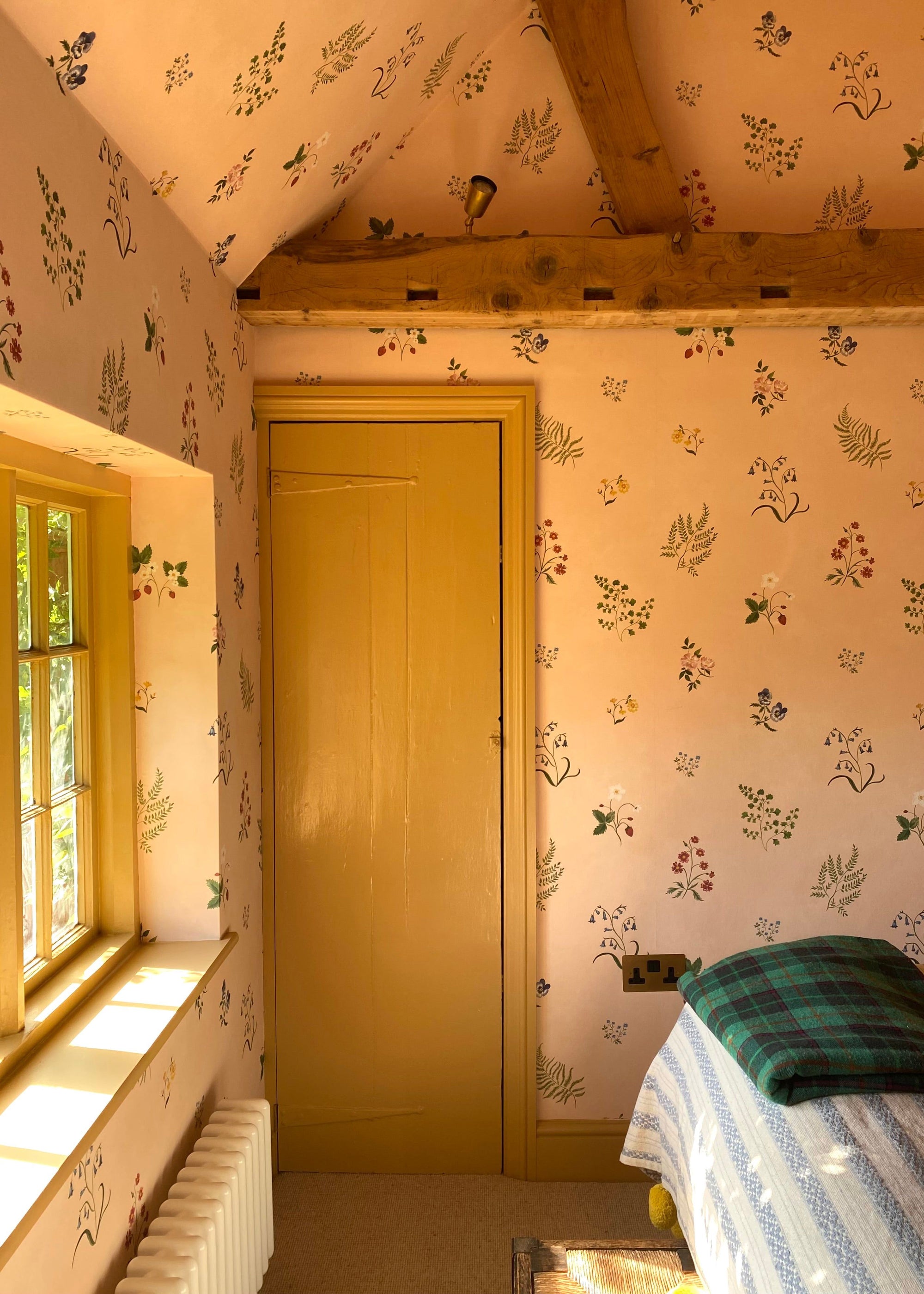 Herbarium Wildflower Wallpaper - Blush