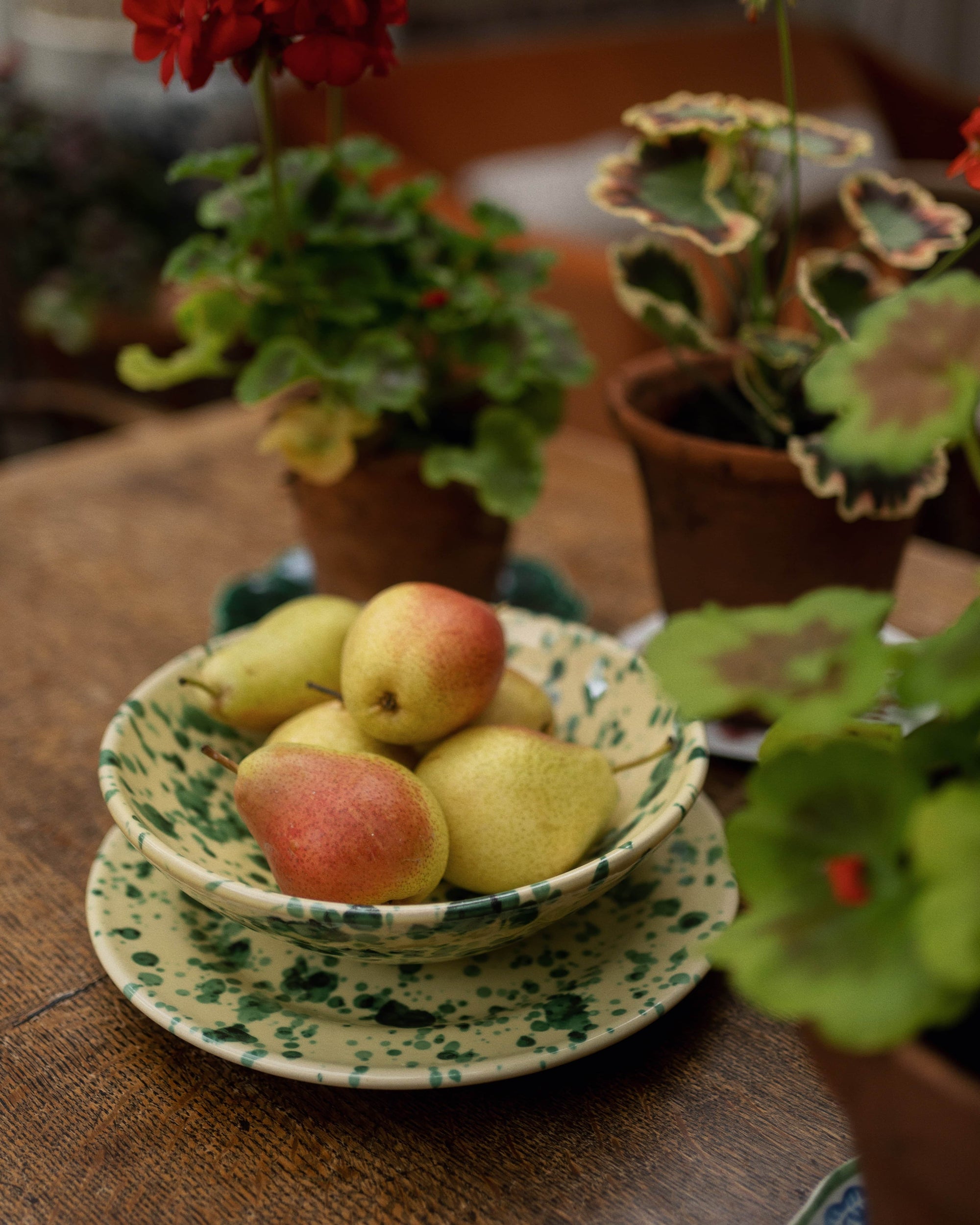 Splatter Dinner Plate (Set of 4)