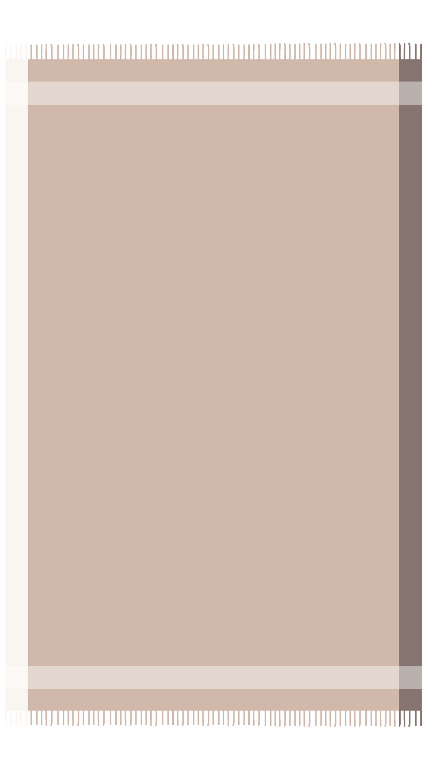 Pashmina Throw – 48x76 in