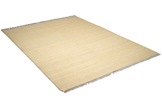 Kelim Rug