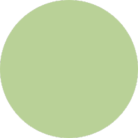 Soft Plate – Matcha