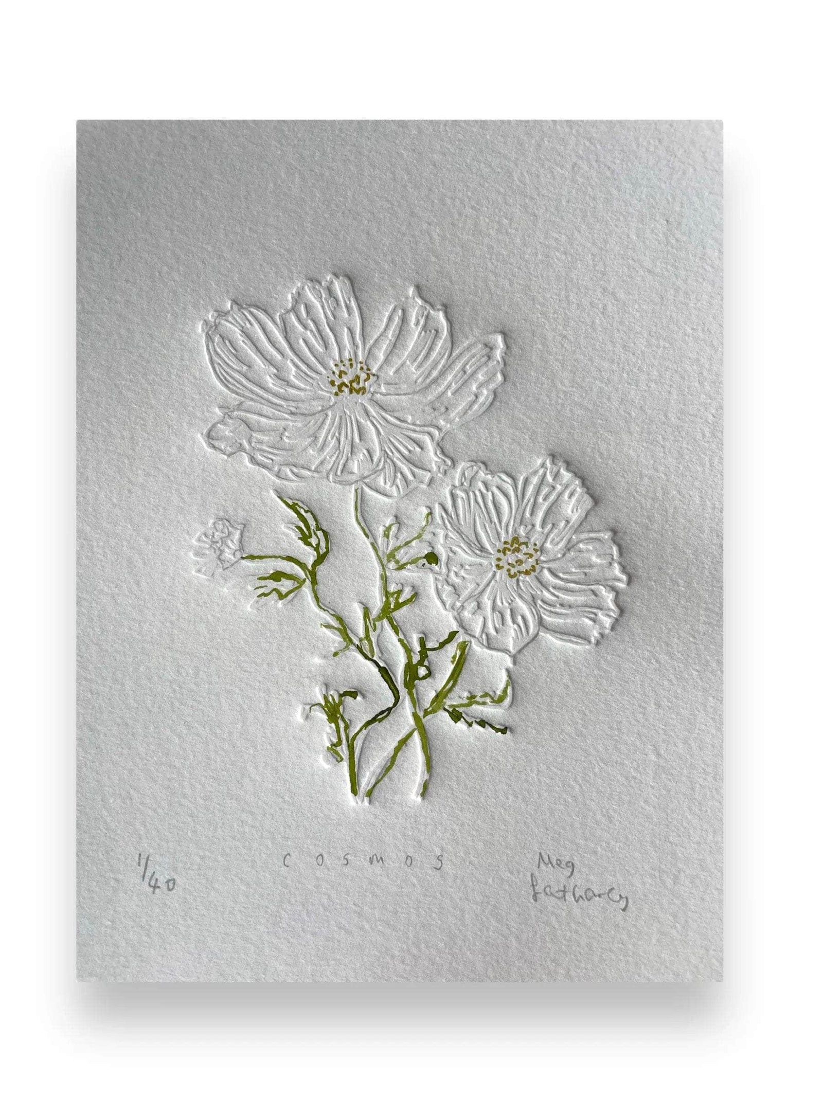 Limited Edition Cosmos Flower of the Month Embossing and Drawing