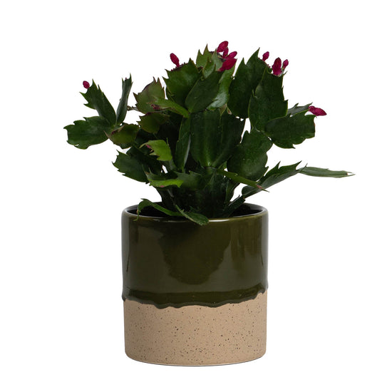 Drip Ceramic Planter Medium - Sage Green