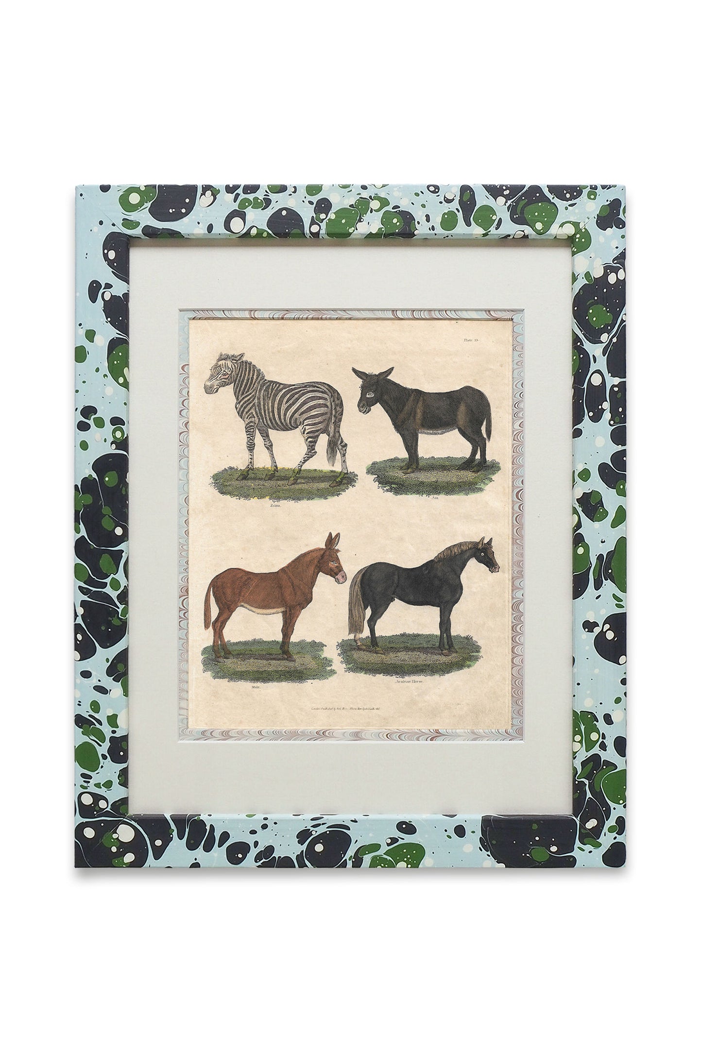 Buffon No.13 Glacier Framed Print