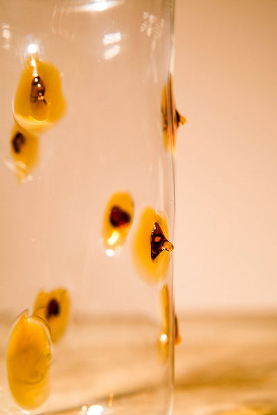 Yellow prickly Glasses (set of 4)