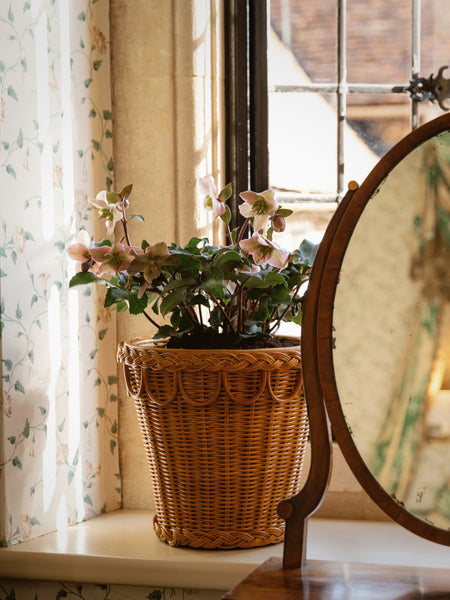 Pinet Plant Pot
