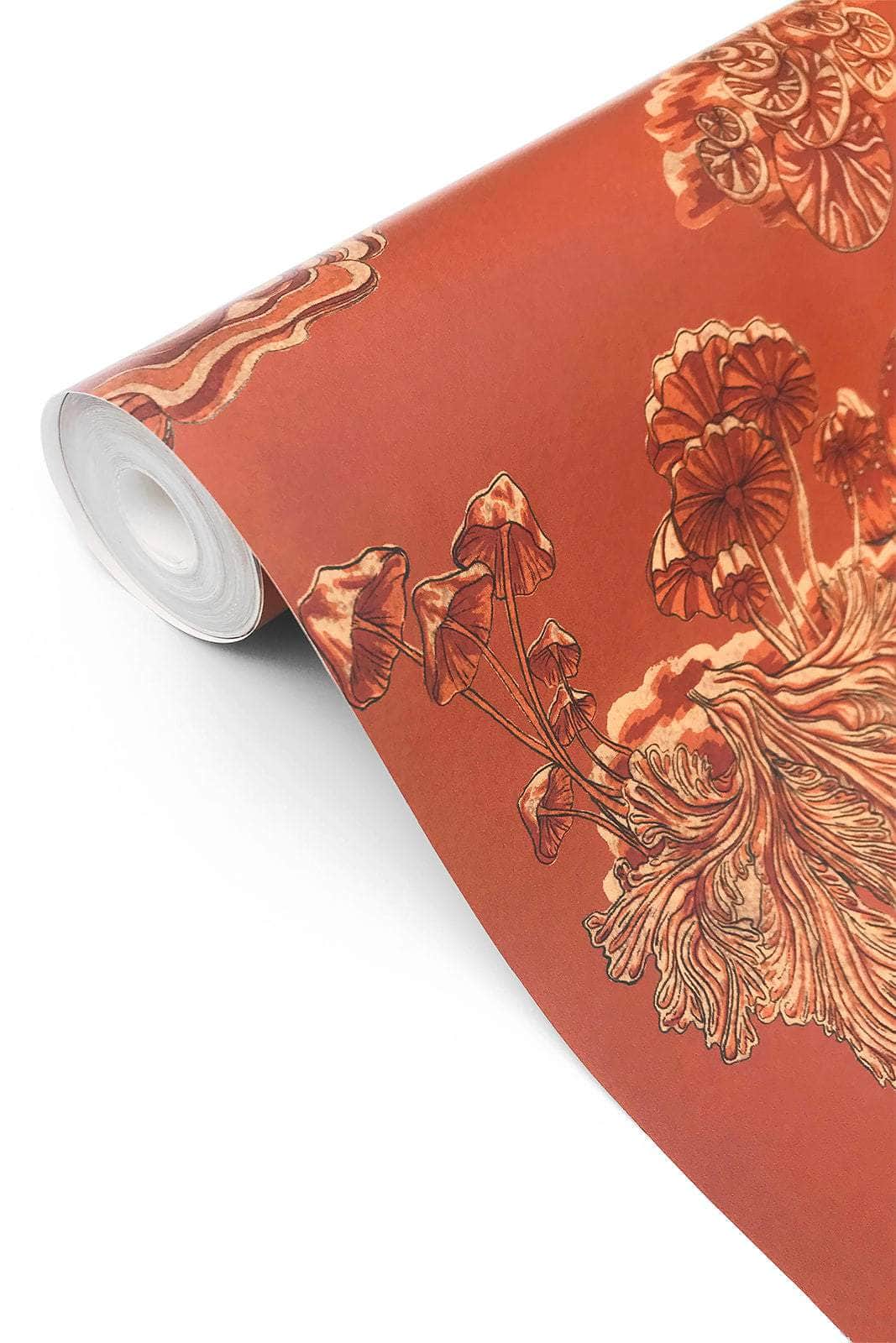 Fungi Aleuria Wallpaper