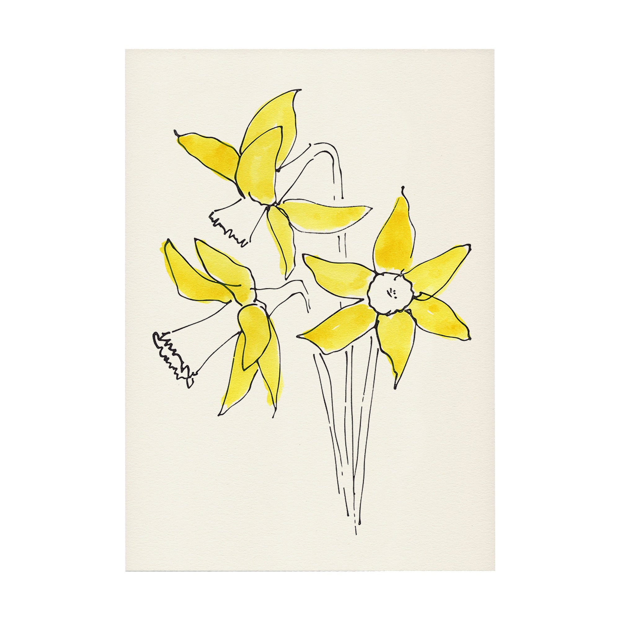 Daffodil Print