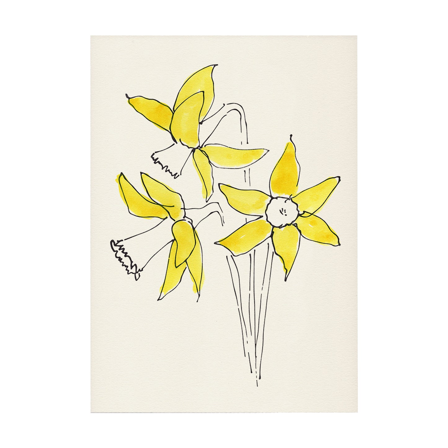 Daffodil Print