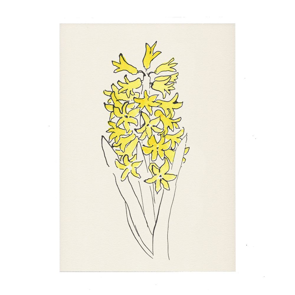 Hyacinth Print