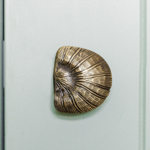 Cove Shell Knob, Antique Brass