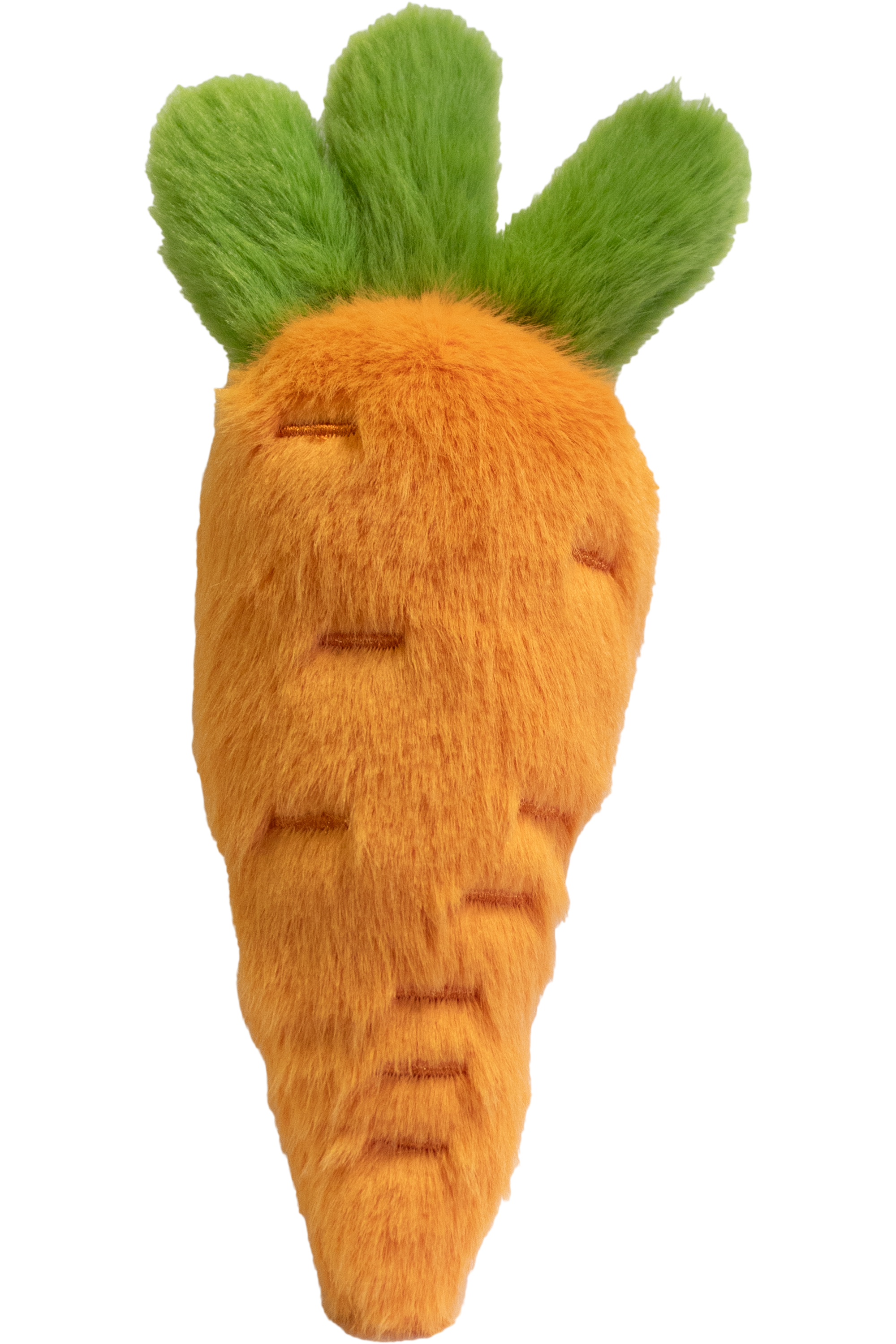 Garden Friends Carrot