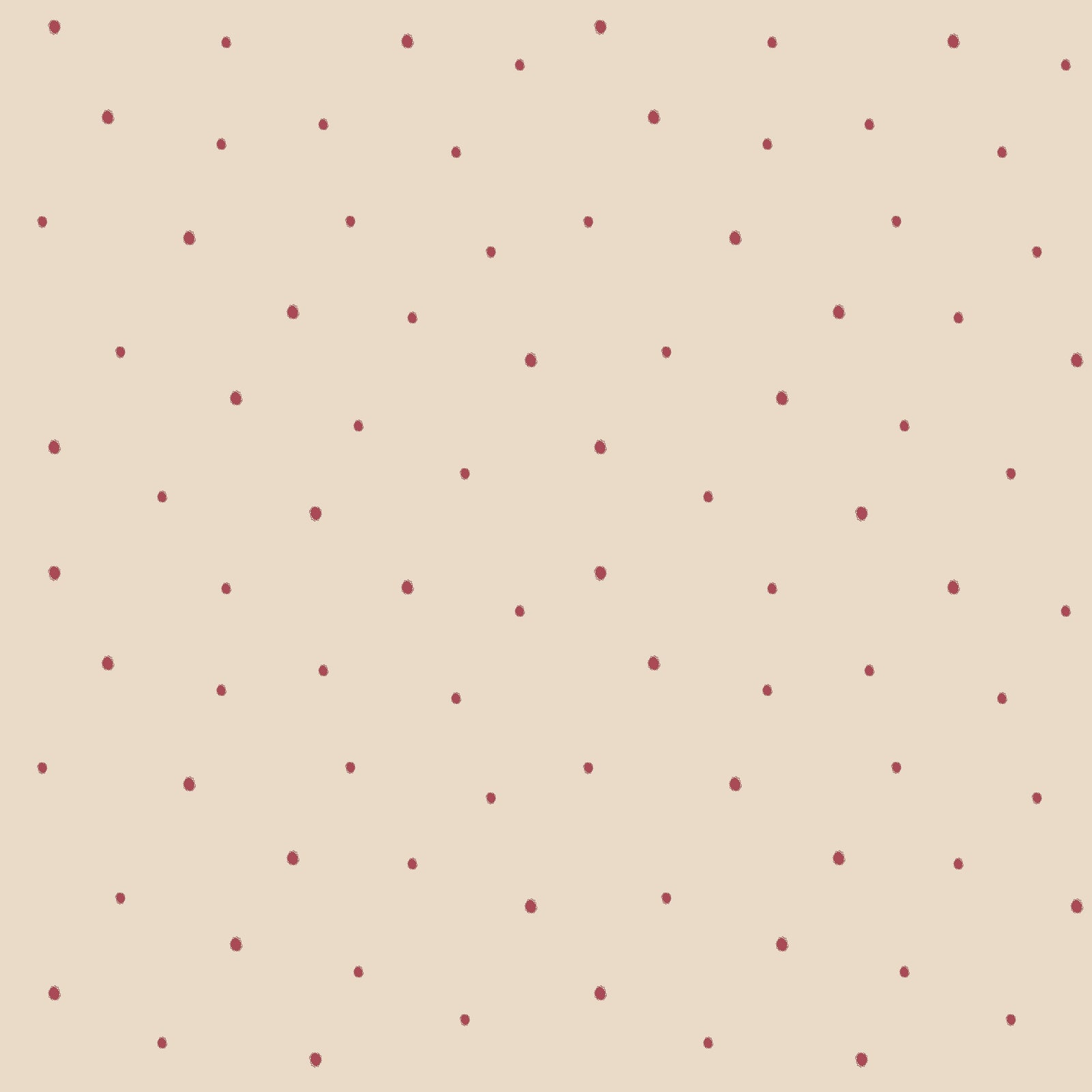 Dolce Daisies Wallpaper, Pavlova, Sample